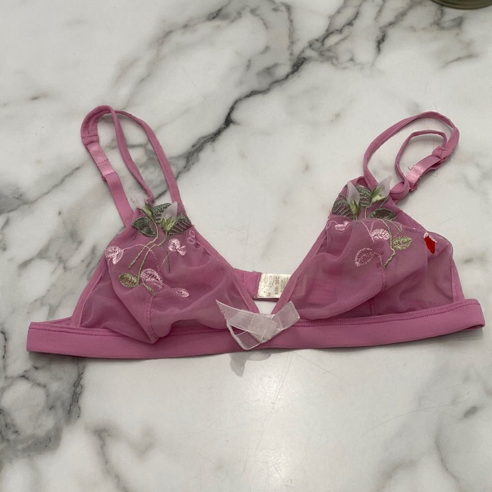 ⭐️La Mariposa Embroidered Triangle Bra